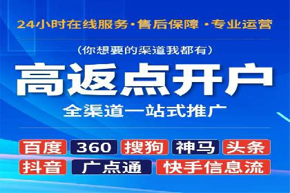 行业领先的SEM投放效果案例解析